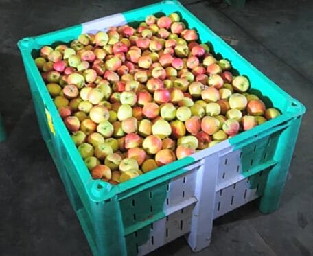 Venetd Bulk Container B2GD1120V78 full of apples